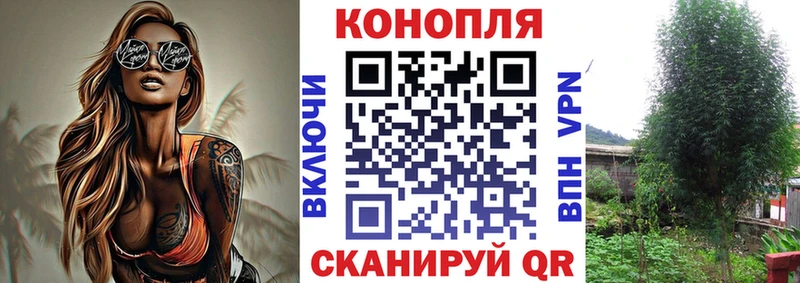 Что такое Омутнинск Бошки Шишки A PVP Меф мяу мяу кракен tor Кокаин