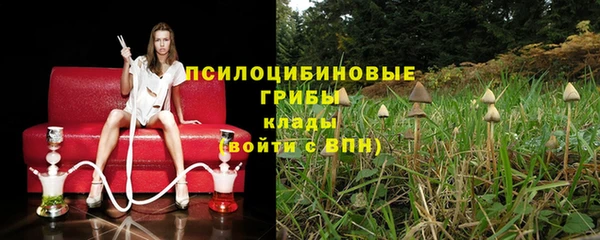 марки nbome Аркадак
